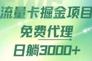 （12321期）流量卡掘金代理，日躺赚3000+，变现暴力，多种推广途径