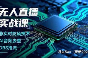 (17384期)无人直播实战课(更新2月),非实时防风技术、AI音频去重、OBS推流,建立技术壁垒,月入5w+